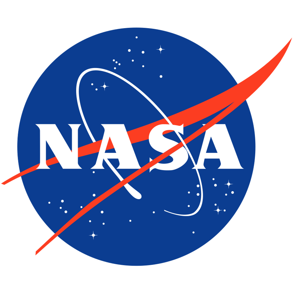 NASA Meatball Logo